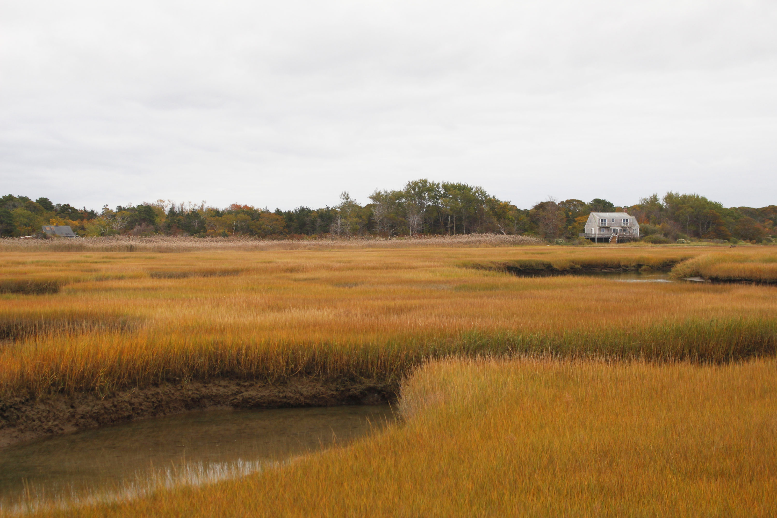 Cape Cod MA