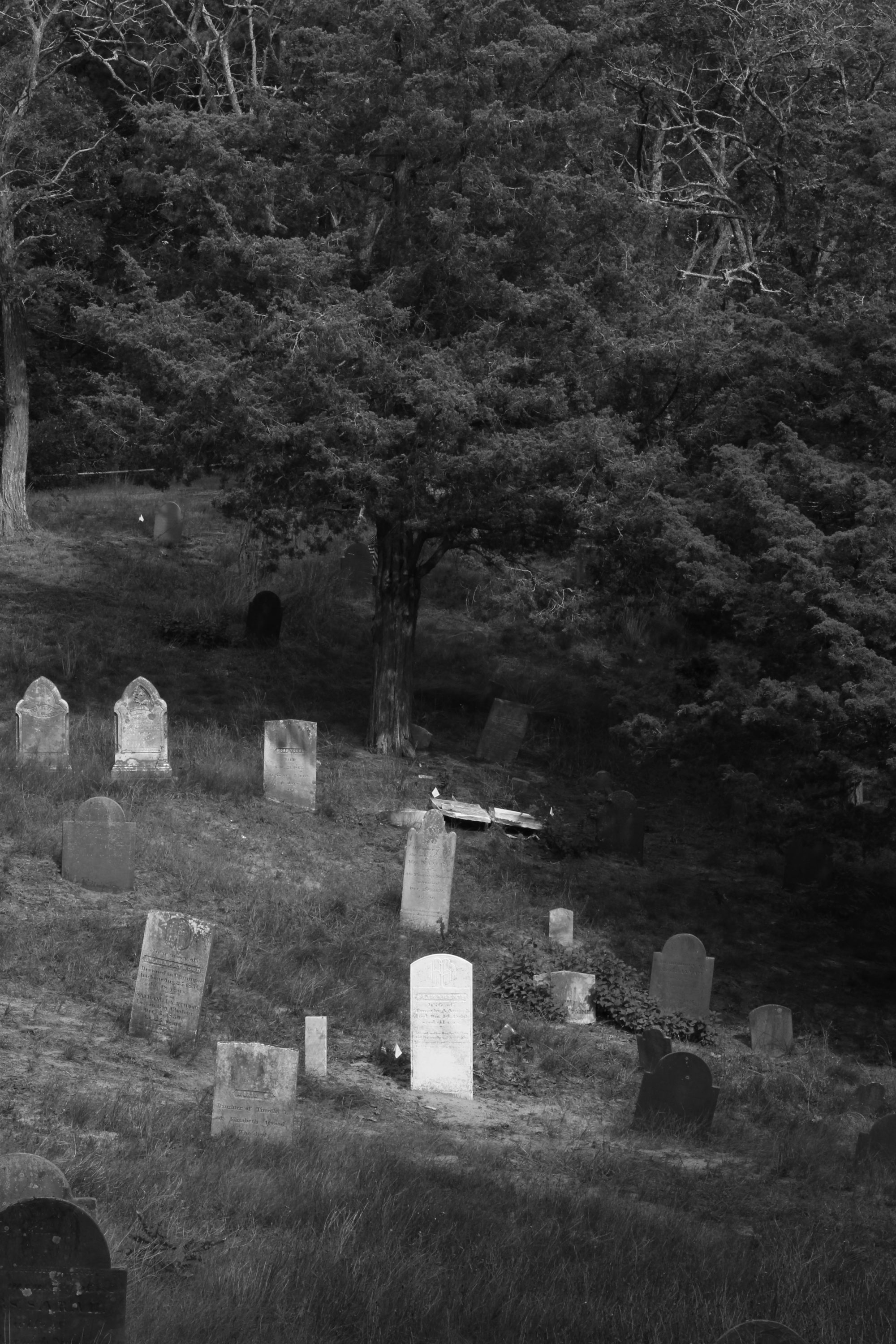 Cemetery, Cape Cod MA