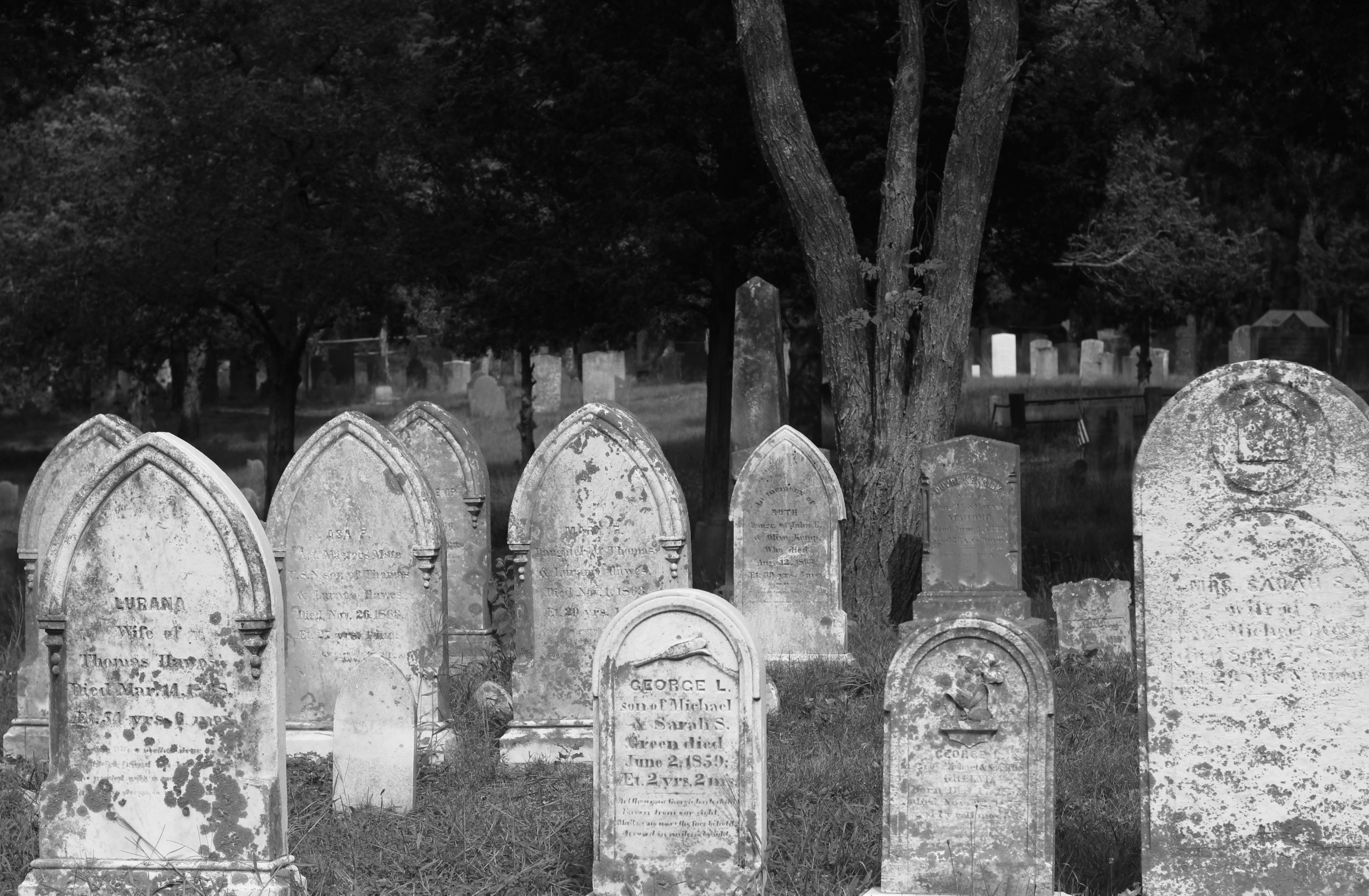 Cemetery, Cape Cod MA