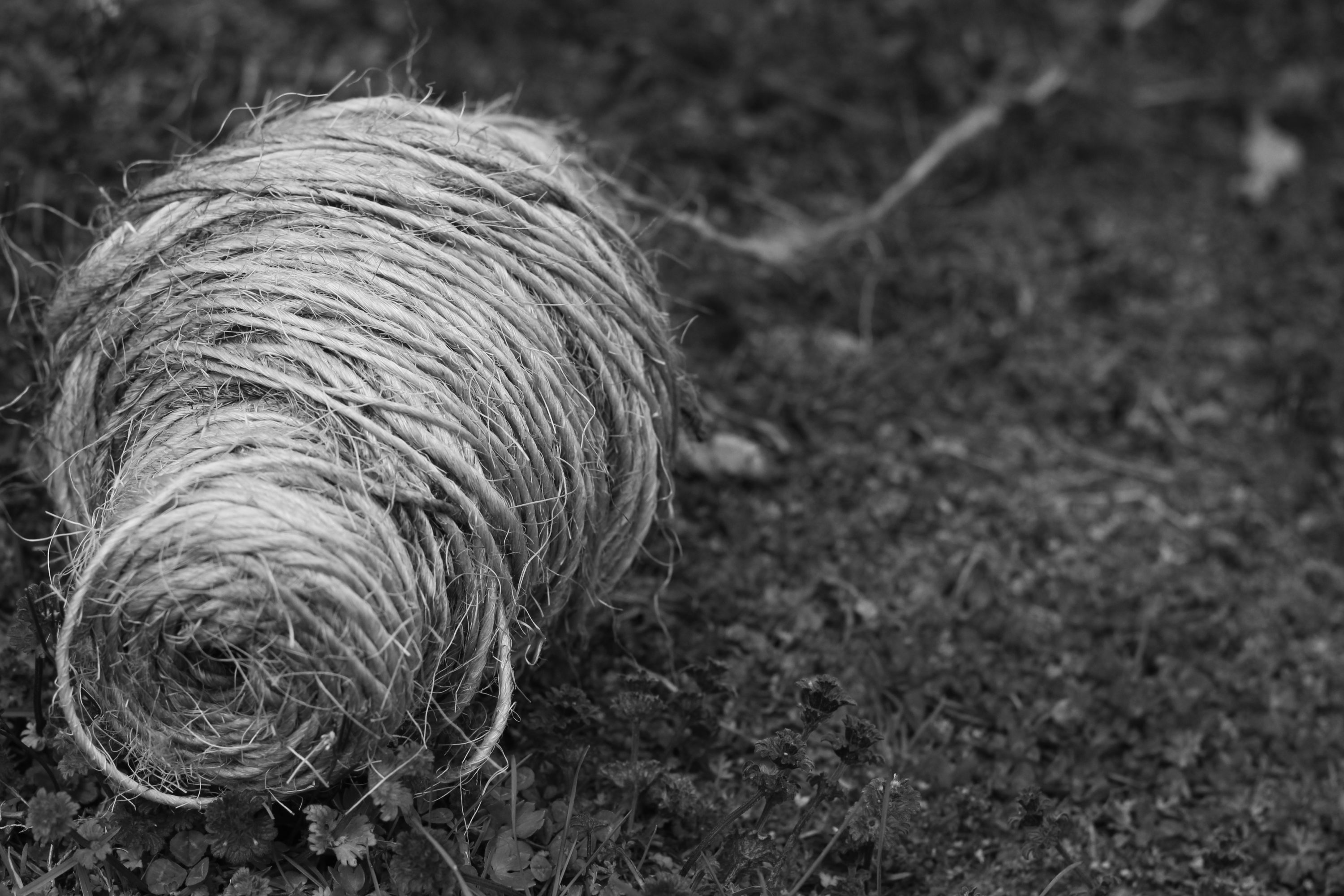 Twine, Rock Castle, Hendersonville TN