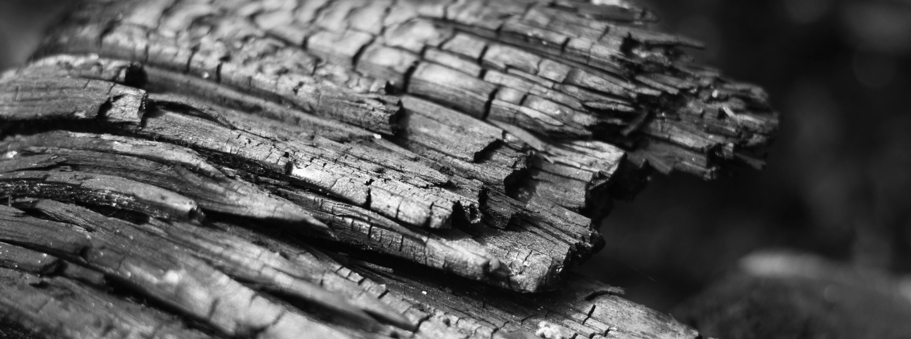 Weathered Wood, Rock Castle, Hendersonville TN